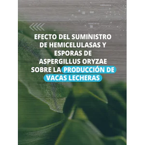 Efecto del suministro de hemicelulasas y esporas de Aspergillus oryzae sobre la producción de vacas lecheras