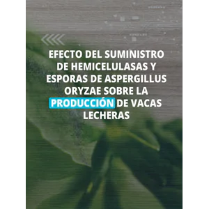 Efecto del suministro de hemicelulasas y esporas de Aspergillus oryzae sobre la producción de vacas lecheras