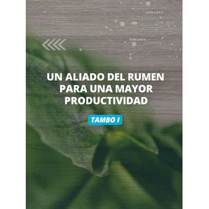 Ensayo Tambo I – Rumino-Zyme