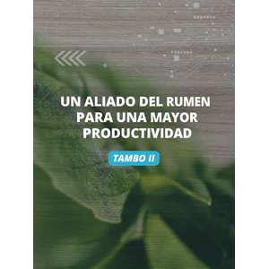 Ensayo Tambo II – Rumino-Zyme
