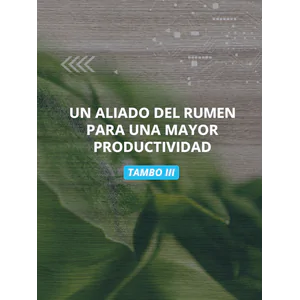 Ensayo Tambo III – Rumino-Zyme