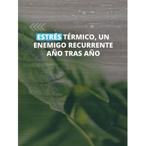 Estrés Térmico, un enemigo recurrente año tras año