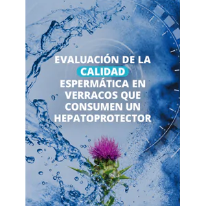 Evaluación de la calidad espermática en verracos que consumen un hepatoprotector