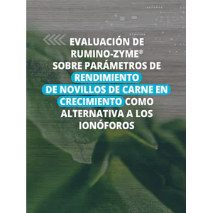 Evaluación de Rumino-Zyme® sobre parámetros de rendimiento de novillos de carne en crecimiento como alternativa a los ionóforos