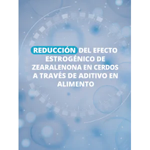 Reducción del efecto estrogénico de zearalenona en cerdos a través de aditivo en alimento