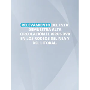 Relevamiento del INTA demuestra alta circulación el virus DVB en los rodeos del NEA y del Litoral