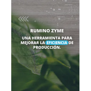 Rumino-zyme: una herramienta para mejorar la eficiencia de producción