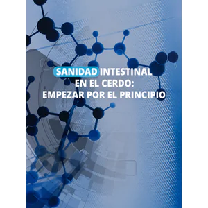 Sanidad intestinal en el cerdo: Empezar por el principio