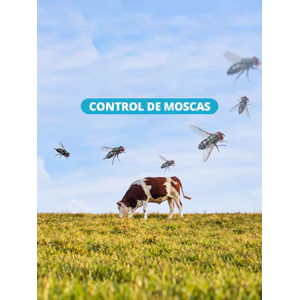 Control de Moscas