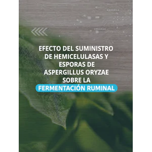 Efecto del suministro de hemicelulasas y esporas de Aspergillus oryzae sobre la fermentación ruminal