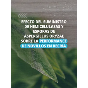 Efecto del suministro de hemicelulasas y esporas de Aspergillus oryzae sobre la performance de novillos en recría