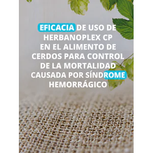 Eficacia de uso de Herbanoplex CP en el alimento de cerdos