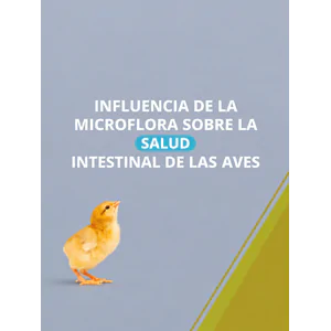 Influencia de la microflora sobre la salud intestinal de las aves