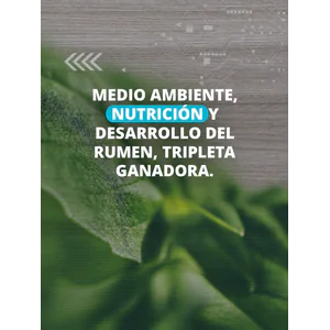 Medio ambiente, nutrición y desarrollo del rumen, tripleta ganadora