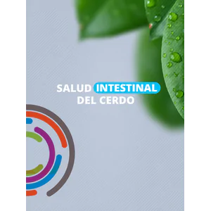 Salud intestinal del cerdo