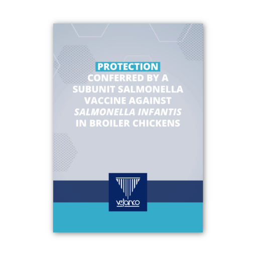 Protection conferred by a subunit Salmonella vaccine against Salmonella ...