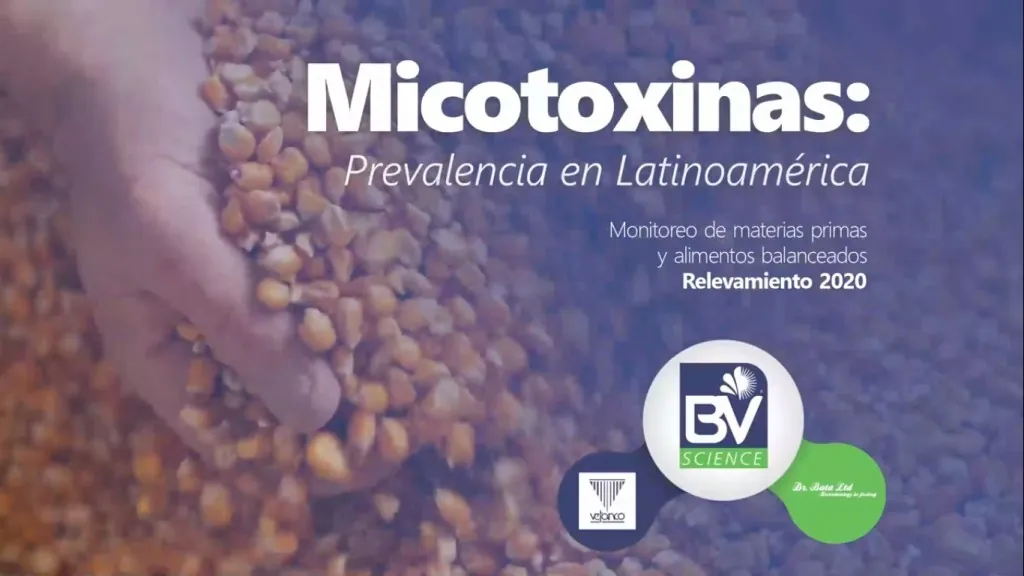 Detoxa Book – Micotoxinas: Prevalencia en Latinoamérica 2020