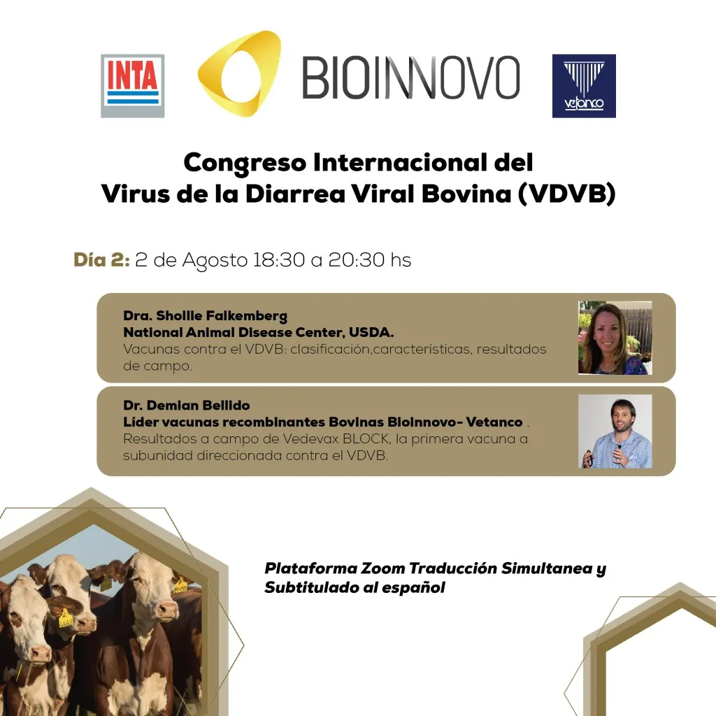 Primera jornada del Congreso Internacional del VDVB