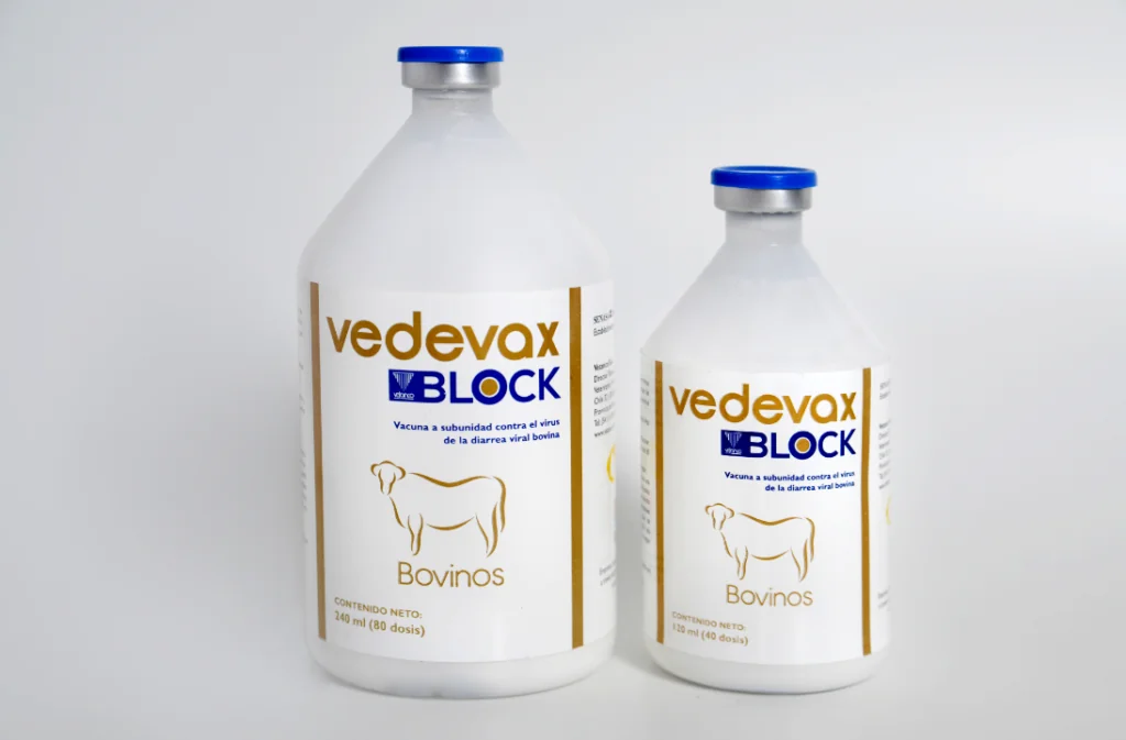 Bioinnovo presentó la vacuna contra la diarrea viral bovina