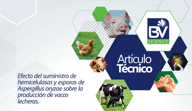 Rumino-zyme: tecnología libre de antibióticos