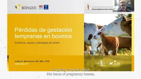 Diagnóstico, vacunación y bioseguridad en el control del VDVB