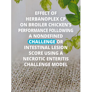 Effect of Herbanoplex CP on broiler chicken’s performance following a nondefined challenge or intestinal lesion score using a necrotic enteritis challenge model