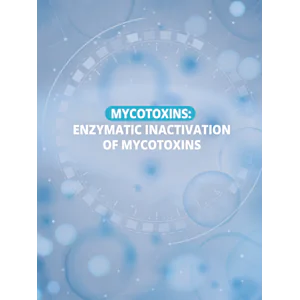 Enzymatic inactivation of mycotoxins