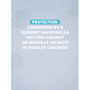 Protection conferred by a subunit Salmonella vaccine against Salmonella Infantis in broiler chickens